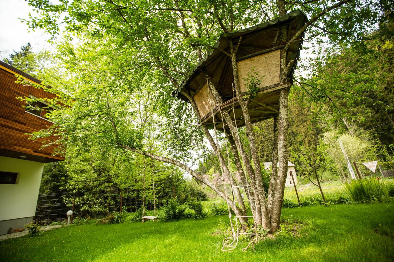 Cabana Jasmin Băile Chirui Exterior photo